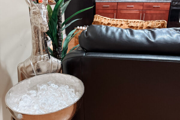 From 2 To 3 Bedroom Apartments Available! Girafe figure with a ice bucket on display in our modelled units