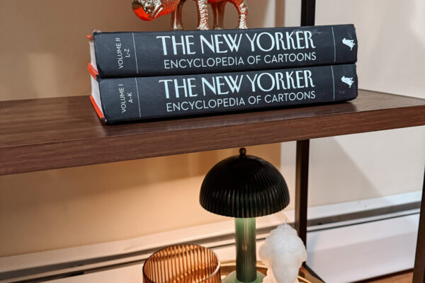 From 2 To 3 Bedroom Apartments Available! Interior decor with books, figures of rhino, candle, cup and table light